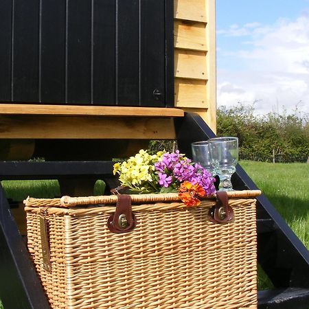 Marshwood Farm B&B And Shepherds Hut Dinton  ภายนอก รูปภาพ