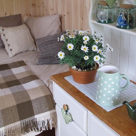 Marshwood Farm B&B And Shepherds Hut Dinton  ภายนอก รูปภาพ