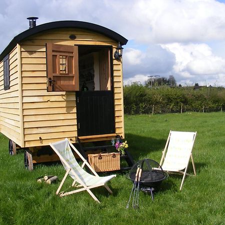 Marshwood Farm B&B And Shepherds Hut Dinton  ภายนอก รูปภาพ