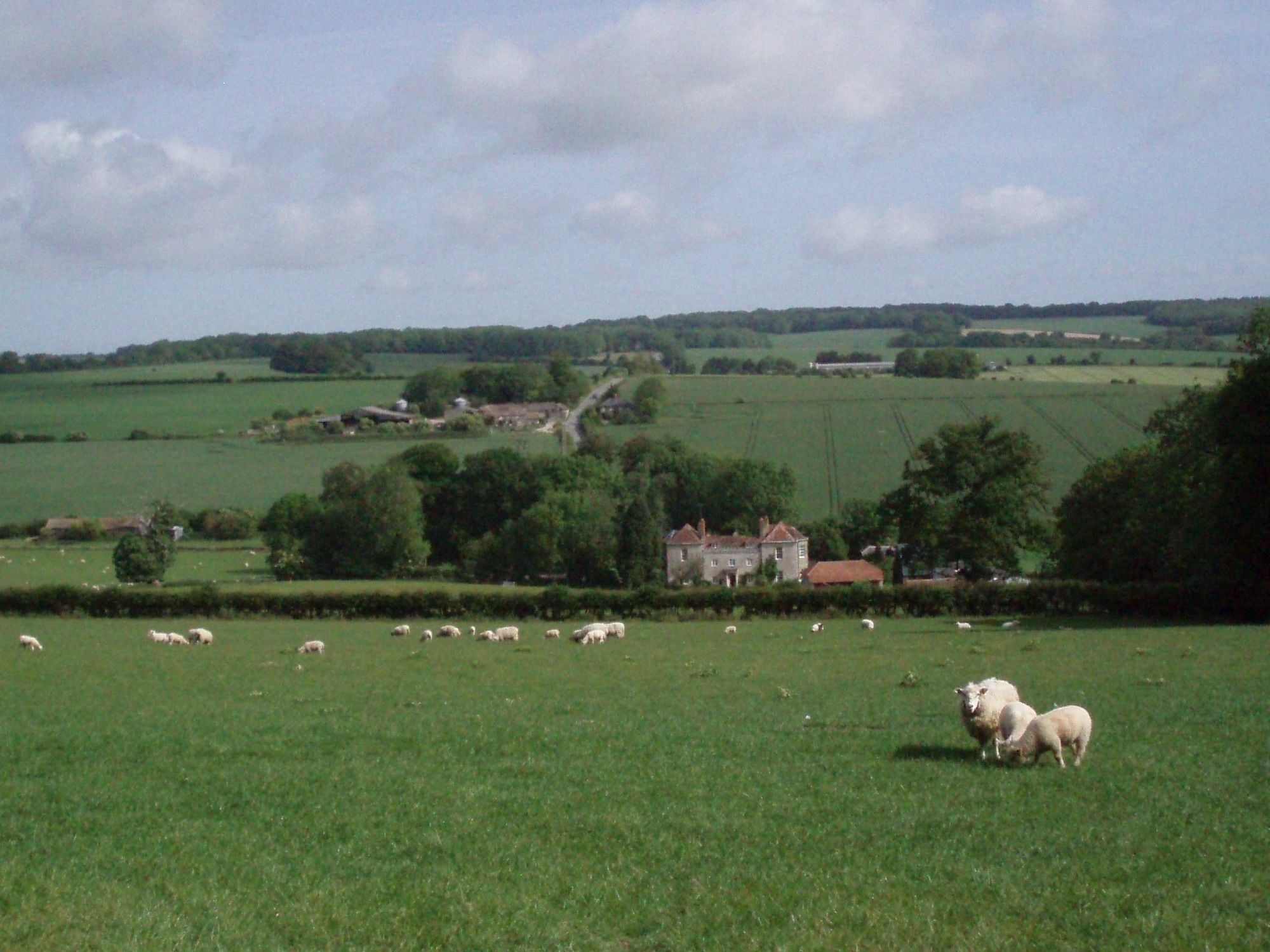 Marshwood Farm B&B And Shepherds Hut Dinton  ภายนอก รูปภาพ